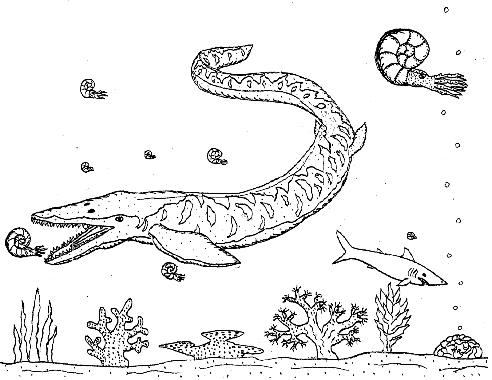 Mosasaur Coloring Pages